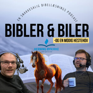 S6E15 - Vi kigger på skygger... Hvorfor ik'? Hvorfor ik'?